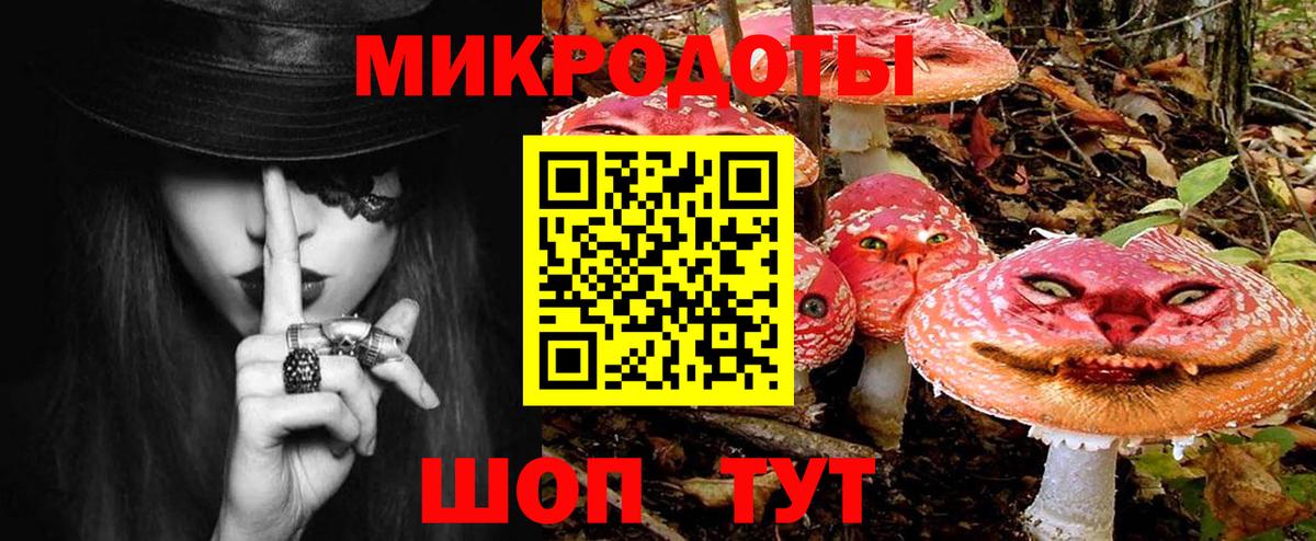 Галлюциногенные грибы Psilocybine cubensis Смоленск